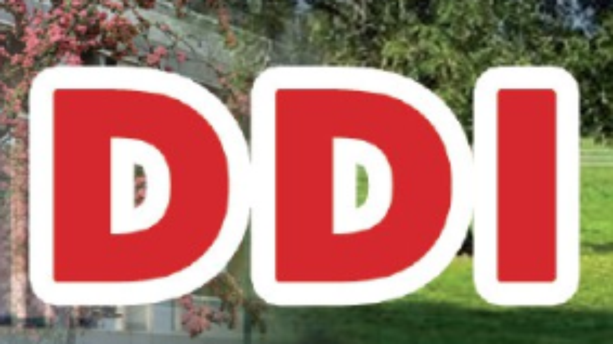 DDI : CT du 15 novembre 2018