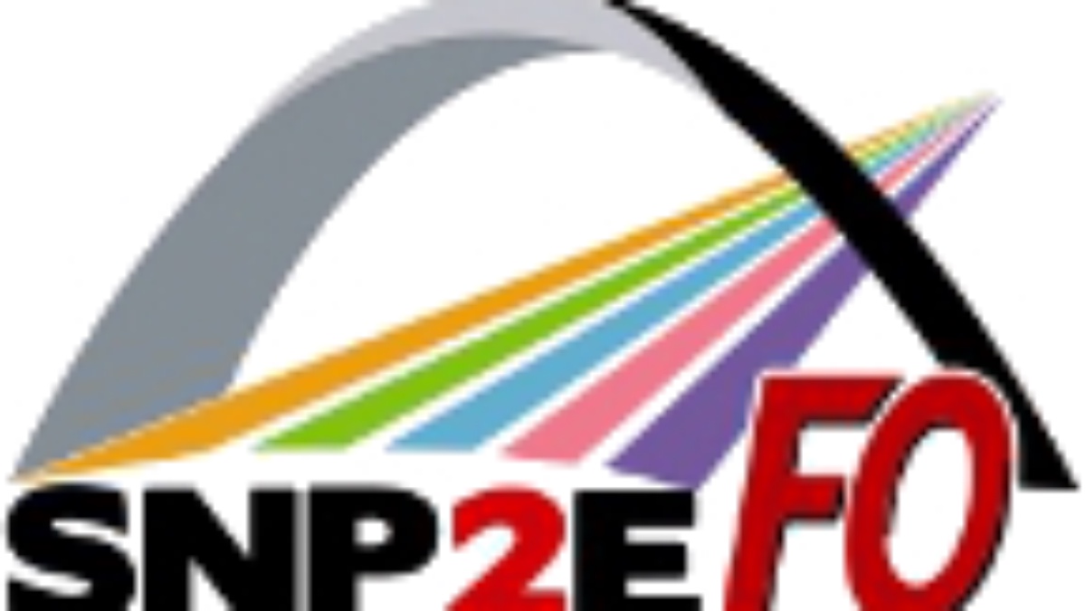 Revendications du SNP2E-FO