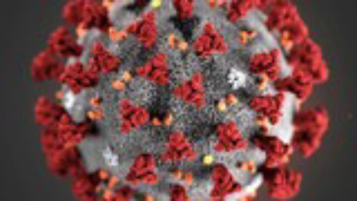 Coronavirus – Covid-19 Questions/réponses pour les employeurs et agents publics